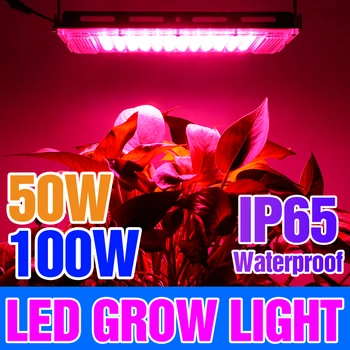 50W LED Grow Lights Фитолампа Полного спектра Растительная лампа 220V Lndoor Теплица для выращивания Палатки Прожектор Семена цветов Освещение растений