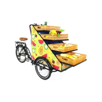 Производство Мобильных 3-колесных Электрических велосипедов для розничной торговли Овощами, фруктами, Вендинговый Велосипед