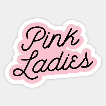 Розовая женская наклейка для ноутбука, декор, спальня, Автомобиль, Милый мультфильм, Модный общественный чемодан